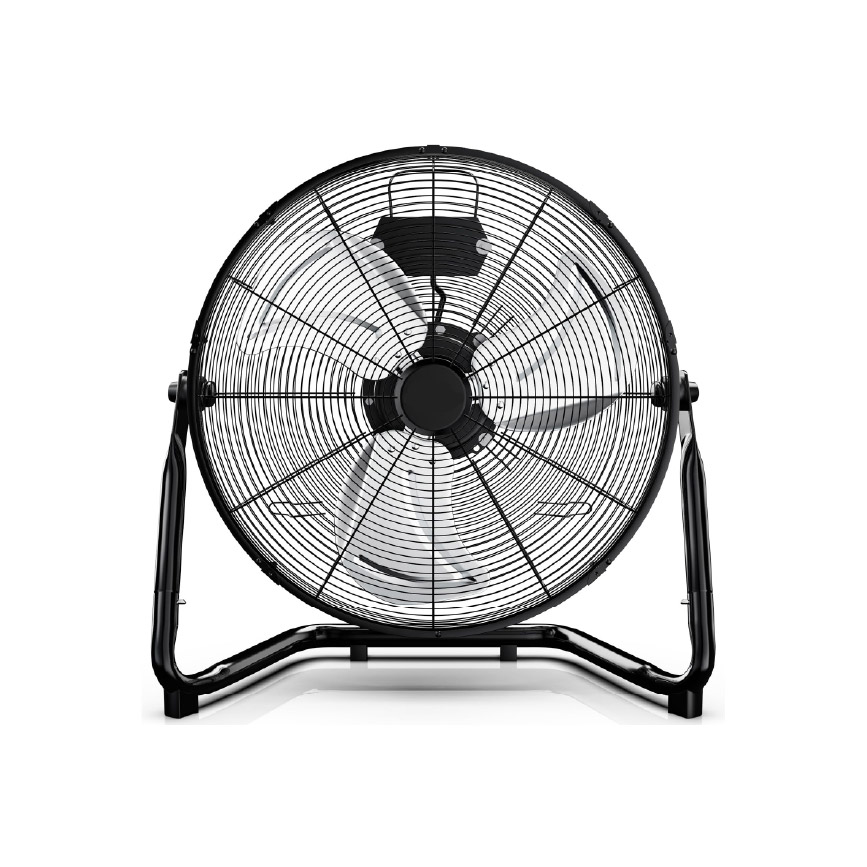 Oscillating Fans